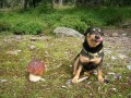 �umavsk� h�iby, to je m�am..