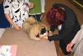 Bry�nkova prvn� v�stava