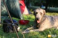 Ar�a 6m�s�c� - v�stava PL