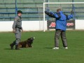 Ticho p�ed bou��...