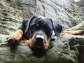 Odpo��v�m :-)
