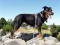 fenkou sv�ta:)