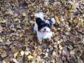 takov� podzimn�