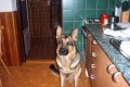 Eron na n�v�t�v�
