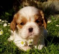 Geny osobn�:-)