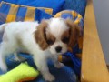 Smutn� princezna
