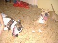Trin�a s Garym po coursingu:)