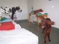 ��d�me po postel�ch