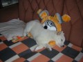 sp�c� princezna podruh�