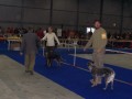V�stava Let�any - listopad 2006