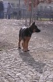 podzimn� proch�zka