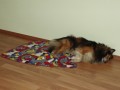 V nov�m domov�