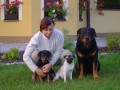 V�ichni