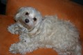 Skoro 11 m�s�c�!