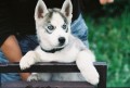 Vid�m nie�o zauj�mav�