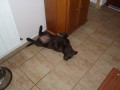 Polohov�n�