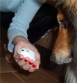 Seznamov�n�