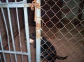 taky chci n�komu pat�it