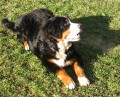 V�noce na bl�t�
