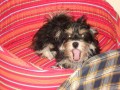 Po dobr�m ob�d� by to cht�lo...