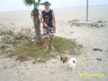 �ecko 2006=1