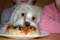 Je mi 1 rok a m�m dort!!