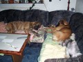 a pro n�s u� tam m�sto nen�