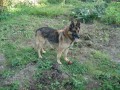 �o sa stalo?
