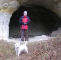 m�j dogtrek