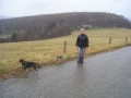 Na proch�zce