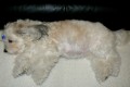 U� aby jsem m�la miminka u sebe :-)