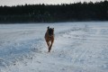 kone�n� sn�h