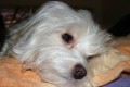 Odpo�inek