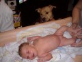 hl�d� po��d:)