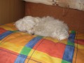 unaven�