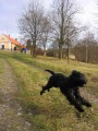 Lov�me balonek