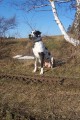 Ag� 2 roky