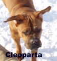 Cleopatra...let�c�