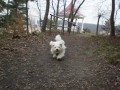 Mont�k