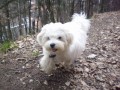 Na proch�zce