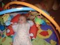 co n�m to koupili?,