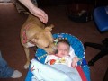 olizov�n�:)