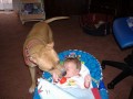 olizov�n� op�t:)