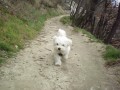Mont�k