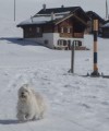 Na hor�ch
