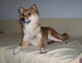 poslouch� co se kde d�je