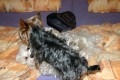 Pom���c!