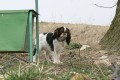 Balt�kovo zastaven�