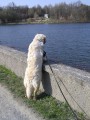 Pokouk�n��ko