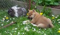 Moje my�i�ka